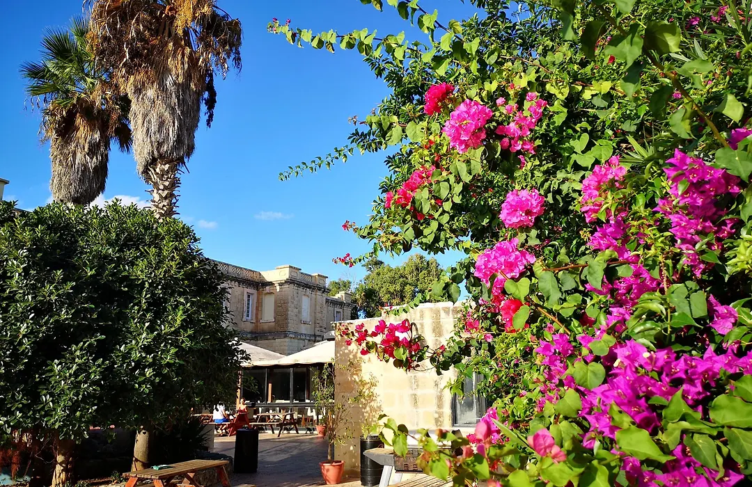 Sc Club Village-1